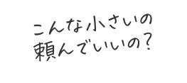 こんな小さいの頼んで良いの?