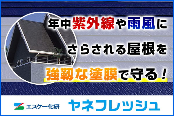 ヤネフレッシュ