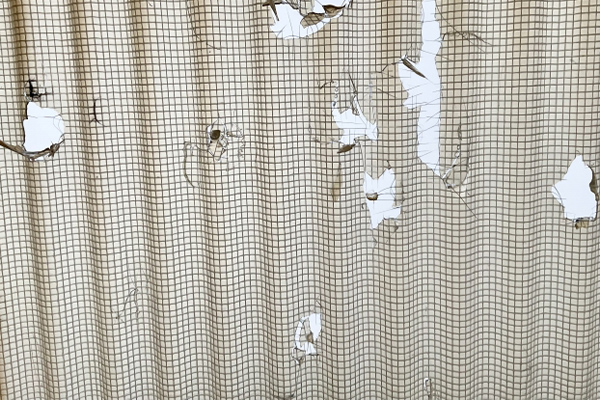 屋根の穴あき